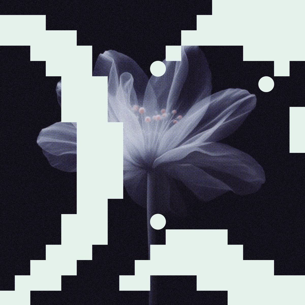 Island Hill & Of Norway - In My Mind (Budakid Remix) Cover Art